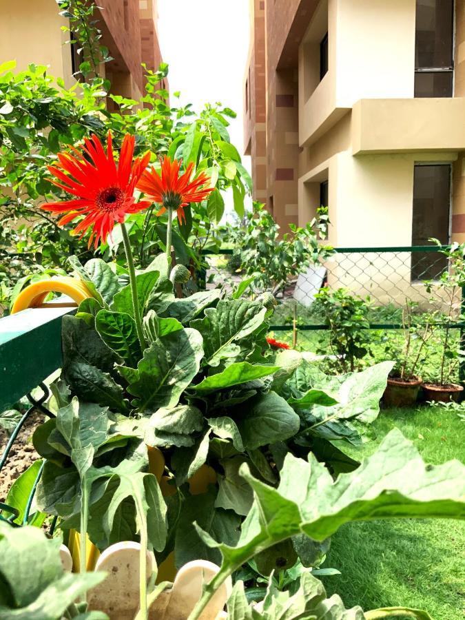 Entire 3 Bedroom Duplex With Garden At Vedic Apartment